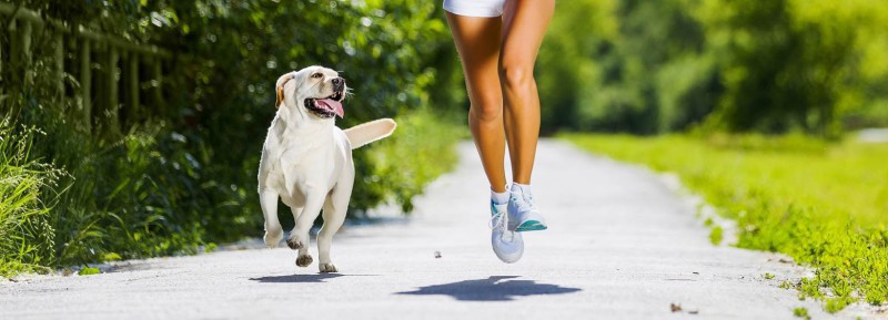 running-with-pet